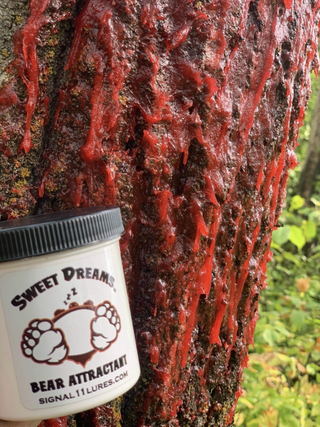 Bear attractant, “Sweet Dreams” gel, Great Stuff!