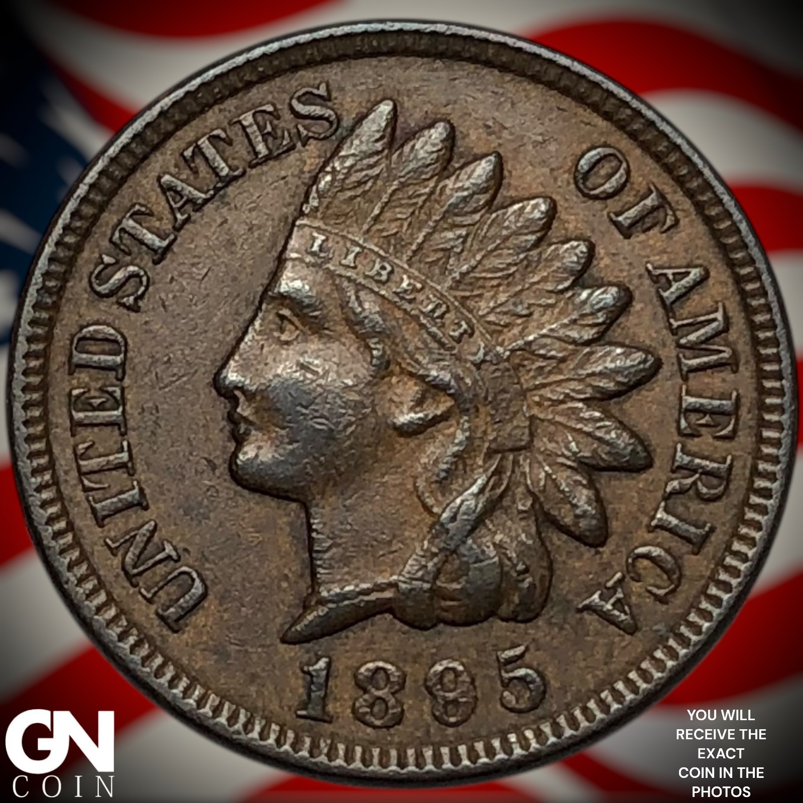 1895 Indian Head Cent Penny Z6840