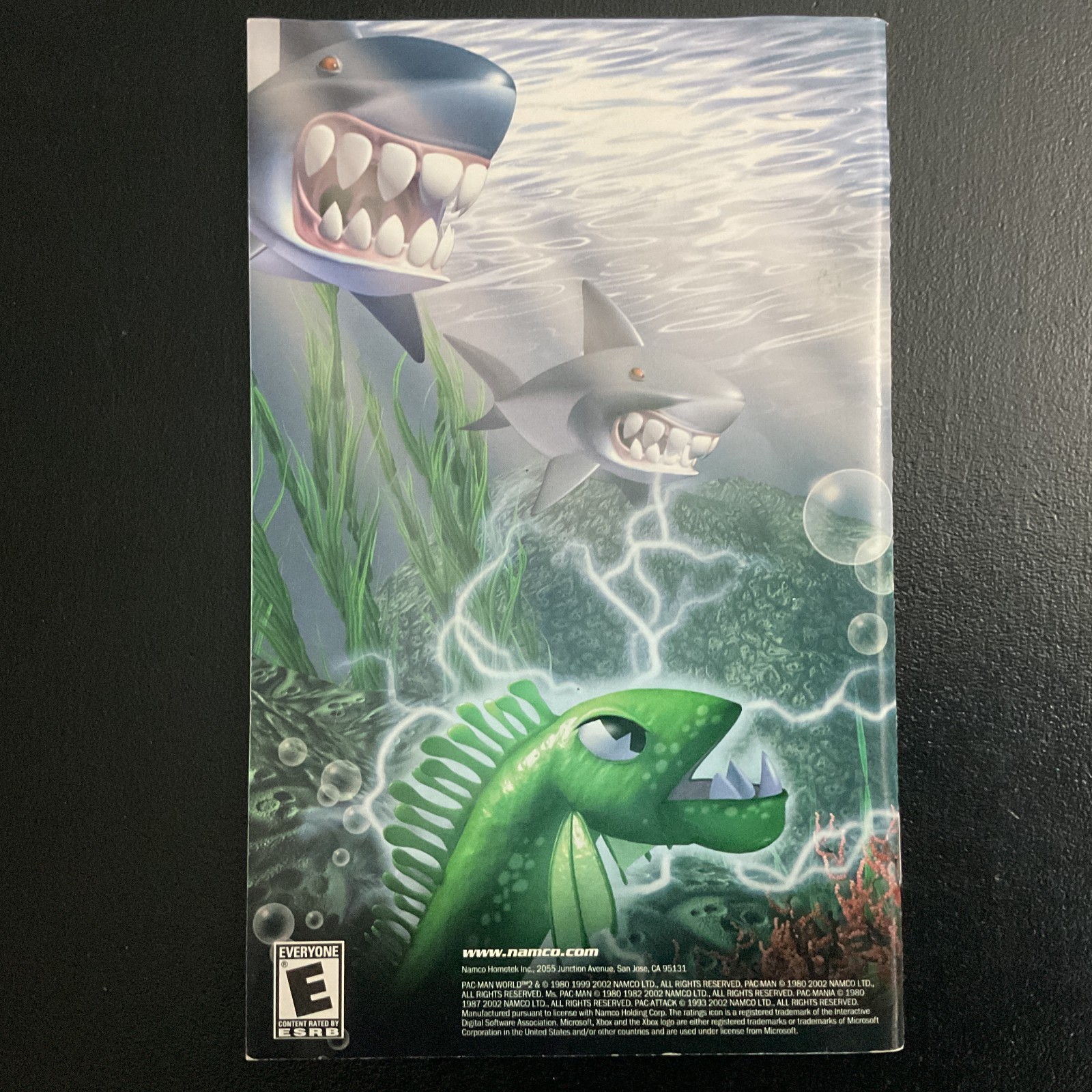 Pac-Man World 2 Microsoft XBOX Instruction Manual Only
