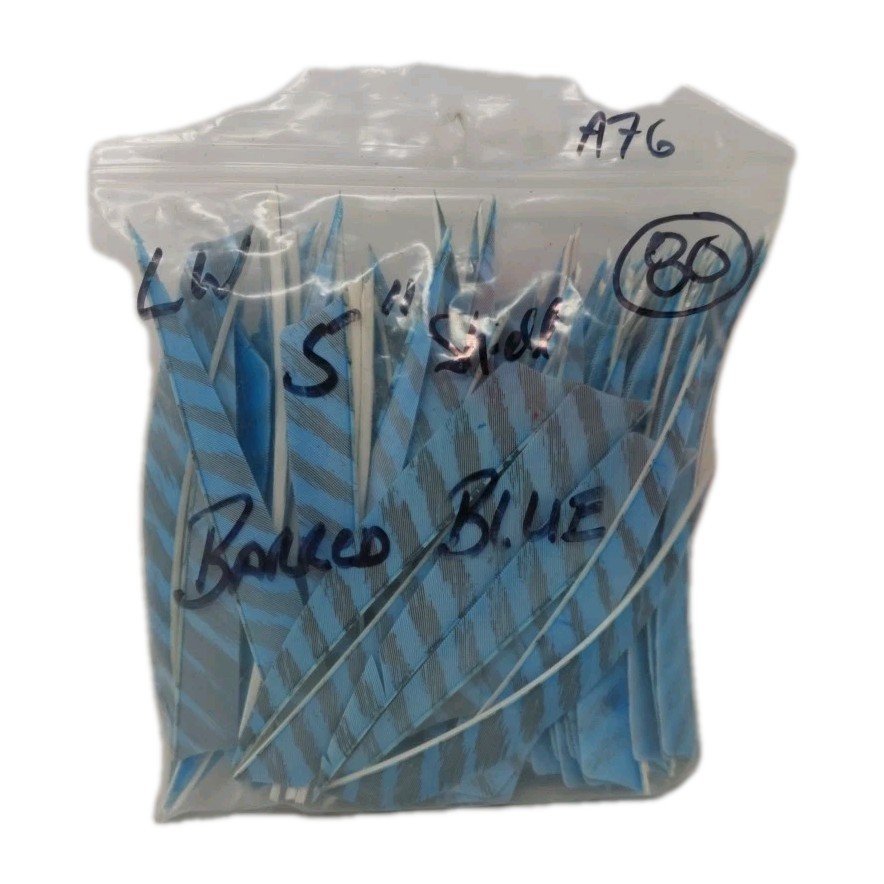 80 Count Archery Arrow Feathers 5" Left Wing Shield: Faux Barred Blue