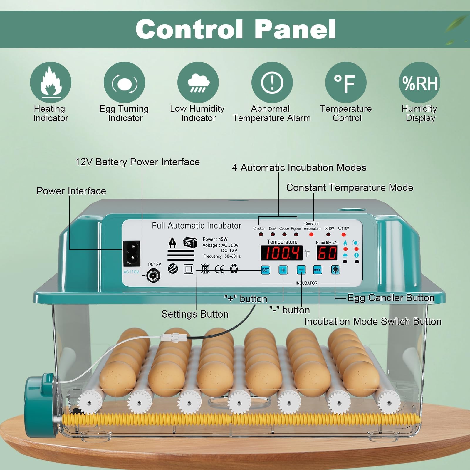 36 Egg Incubator for Hatching, Automatic Turning, Humidity Display, Quail & Chic