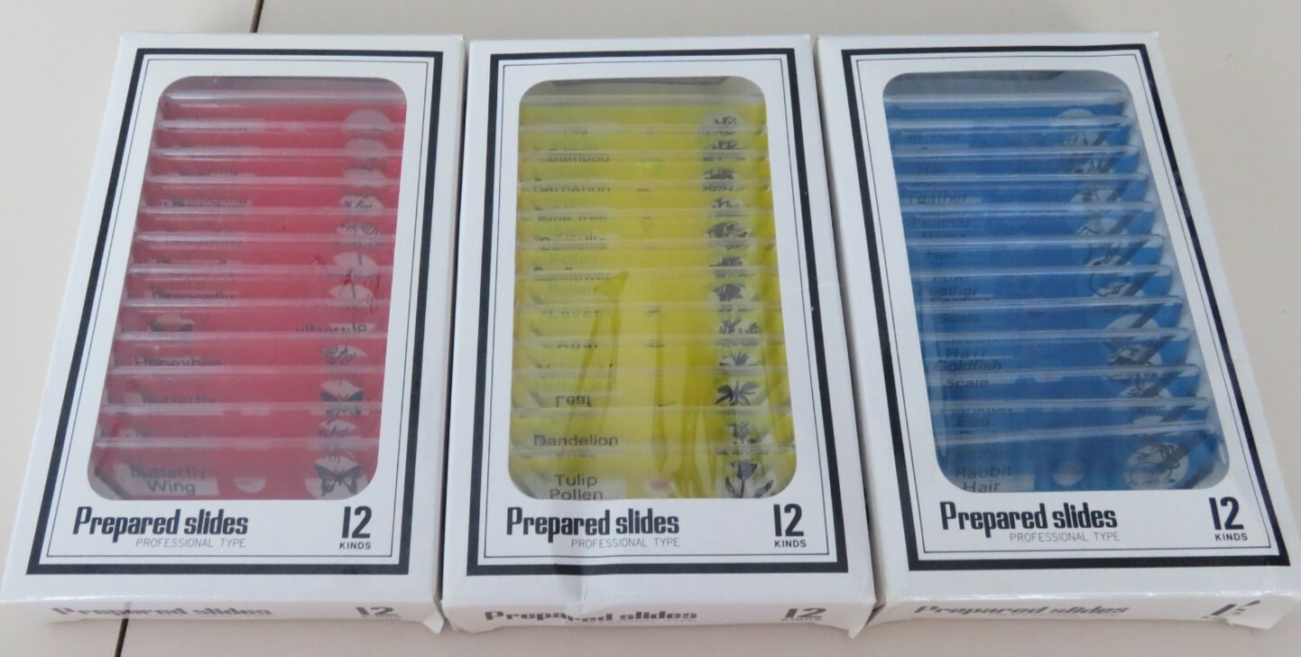 3 Packs of 12 Professional Type Prepared Slides Animal Hair, Insects, Plants 