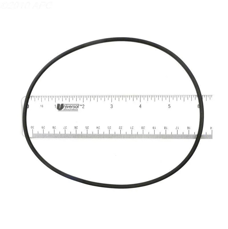 O-Ring, Valve Lid