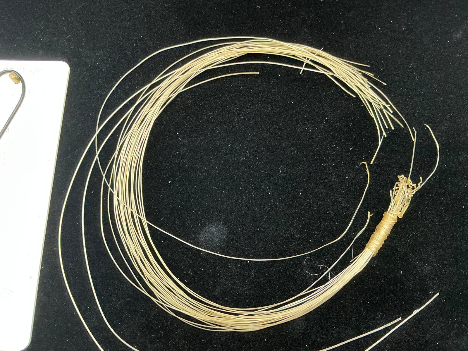 Vintage Genuine Spanish Silkworm Gut