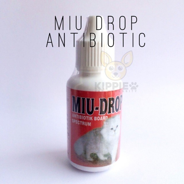 Miu drops Br*ad Sp*ctrum Antibiotic For Cat Dog