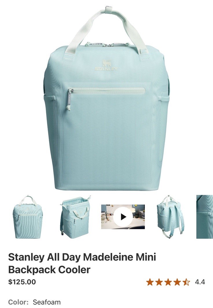Stanley All Day Madeleine Mini Backpack Cooler Seafoam Soft Strap 20 Can 1913 Xx