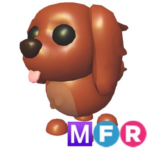 Mega Neon Fly Ride Irish Setter | Adopt Right Now