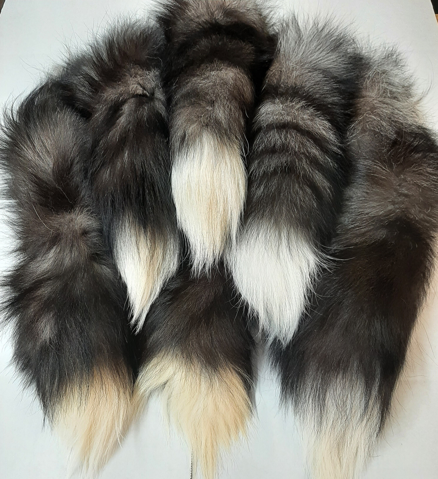 Silver Fox Tail