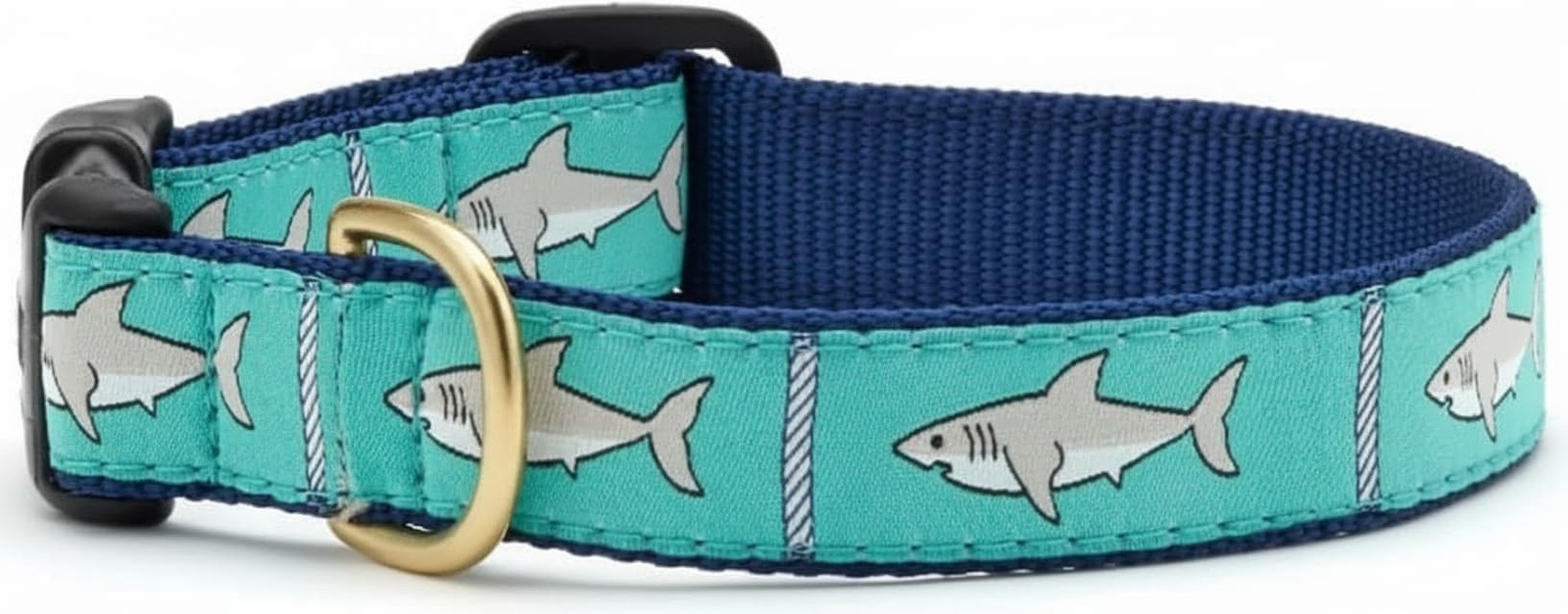 Up Country Shark Dog Collar Small (9 to 15 inches) 1 inch Wide