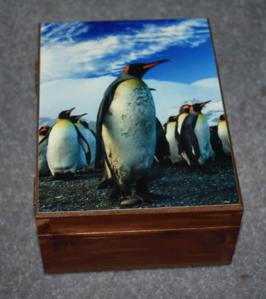 #4617 MARCHING PENQUINS KEEPSAKE JEWELRY WOOD CEDAR BOX 4.5" X 6"
