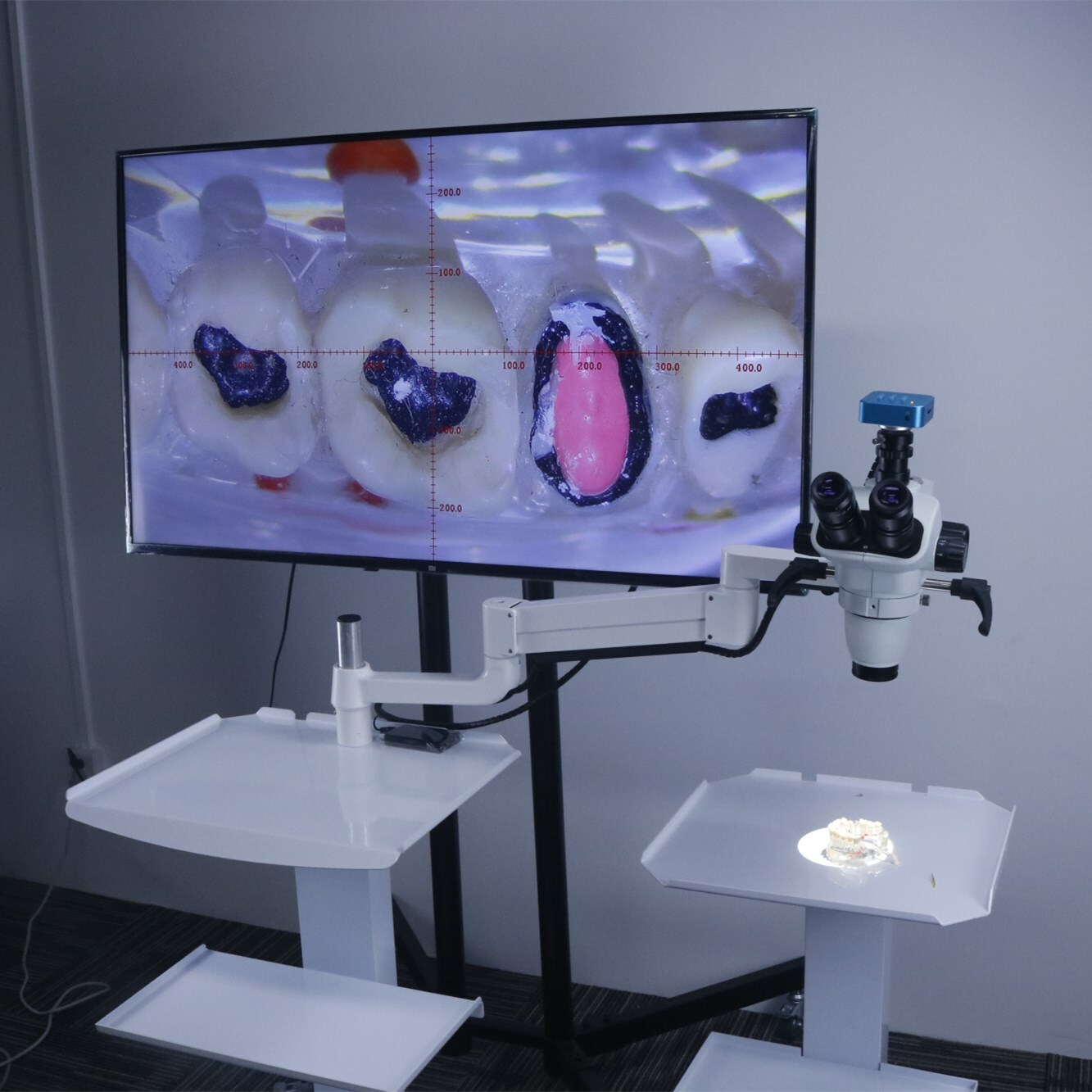 Dental Chair Unit Operating Microscope LED Endodontic Microscope with Camera
