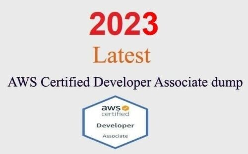 AWS Certified Developer Associate DVA-C02 dump GUARANTEED (1 month update)