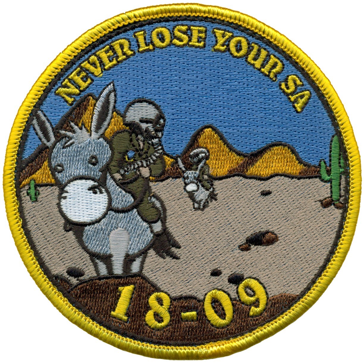 USAF LAUGHLIN SPECIALIZED UNDERGRADUATE PILOT TRAINING CLASS 2018-09 PATCH