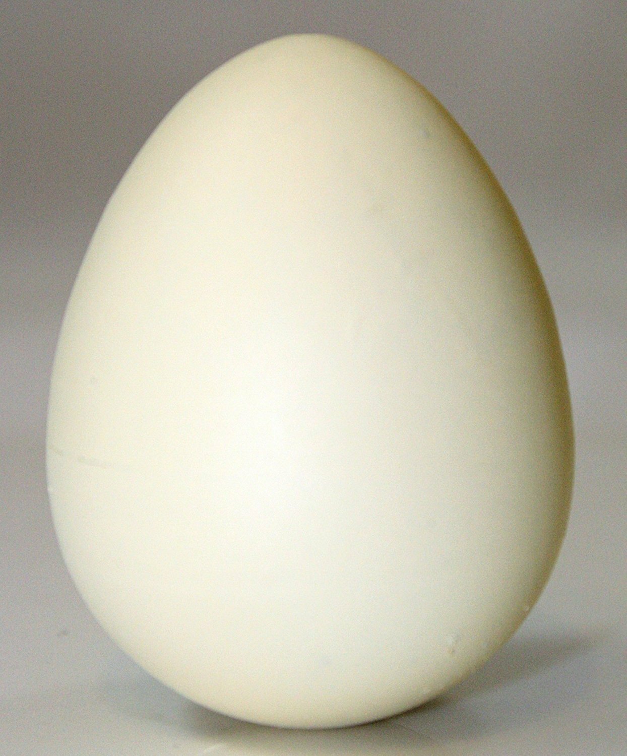 GeoCentral Tortoise Hatch 'Ems Egg Toy
