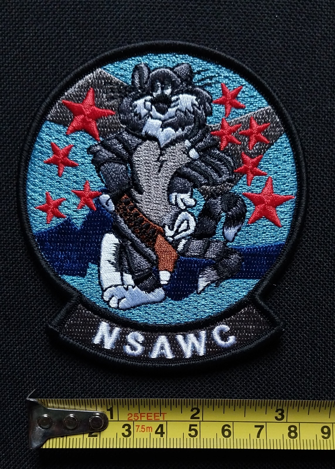 TOMCAT PATCH ~ NSAWC ~ Naval Strike and Warfare Center ~ US Military Navy Patch