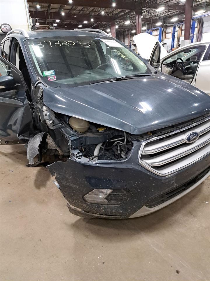 2019 Escape Jack Sku#4415463