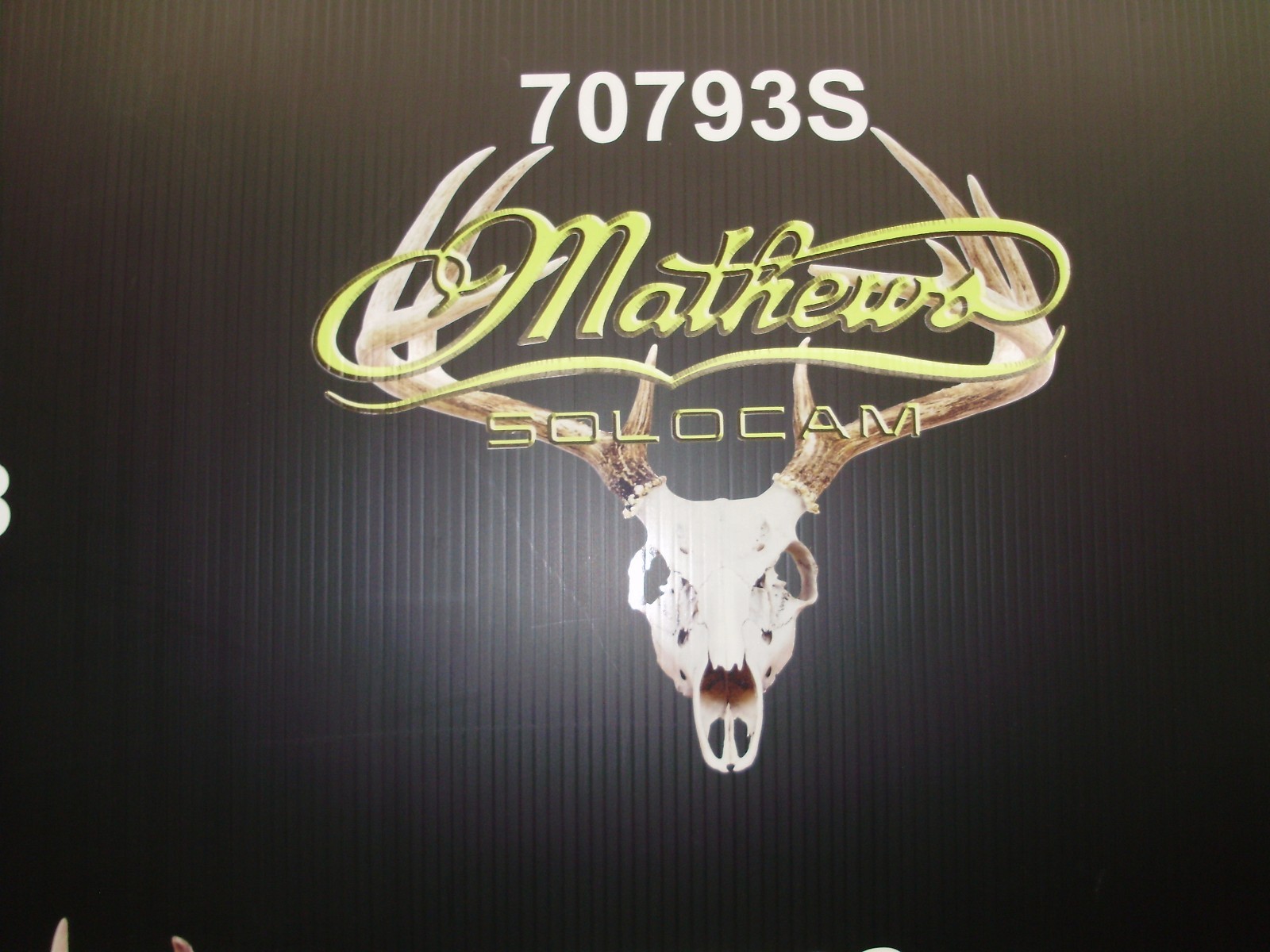 Mathews european mount picture  decal  die cut 16" x 14" Part number 70793L