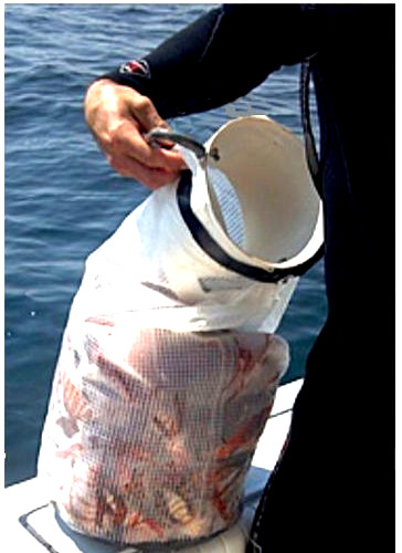 Lionfish Bag Scuba Dive Catch Lion Fish Zookeeper Hotel Tube Lobster Inn Trapper