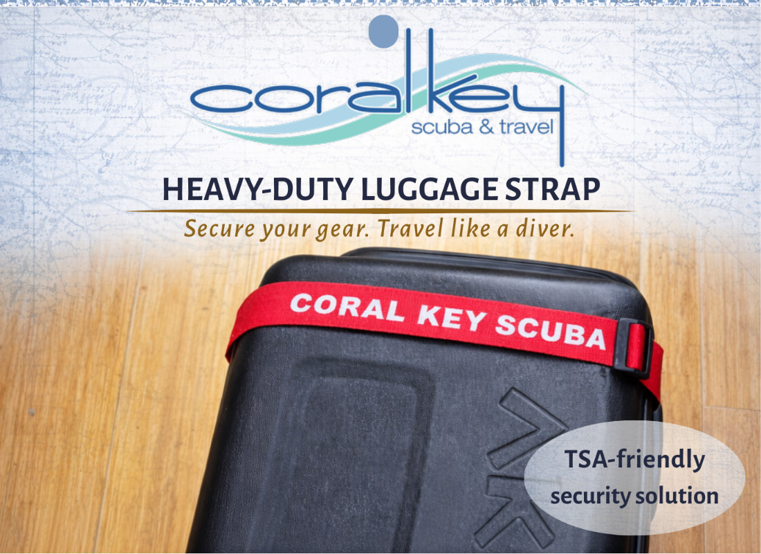 Coral Key Scuba Luggage Strap 2 Pack with TSA Security