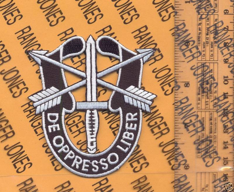 US Army SPECIAL FORCES GROUP AIRBORNE SFGA 3.5" DUI crest pocket patch