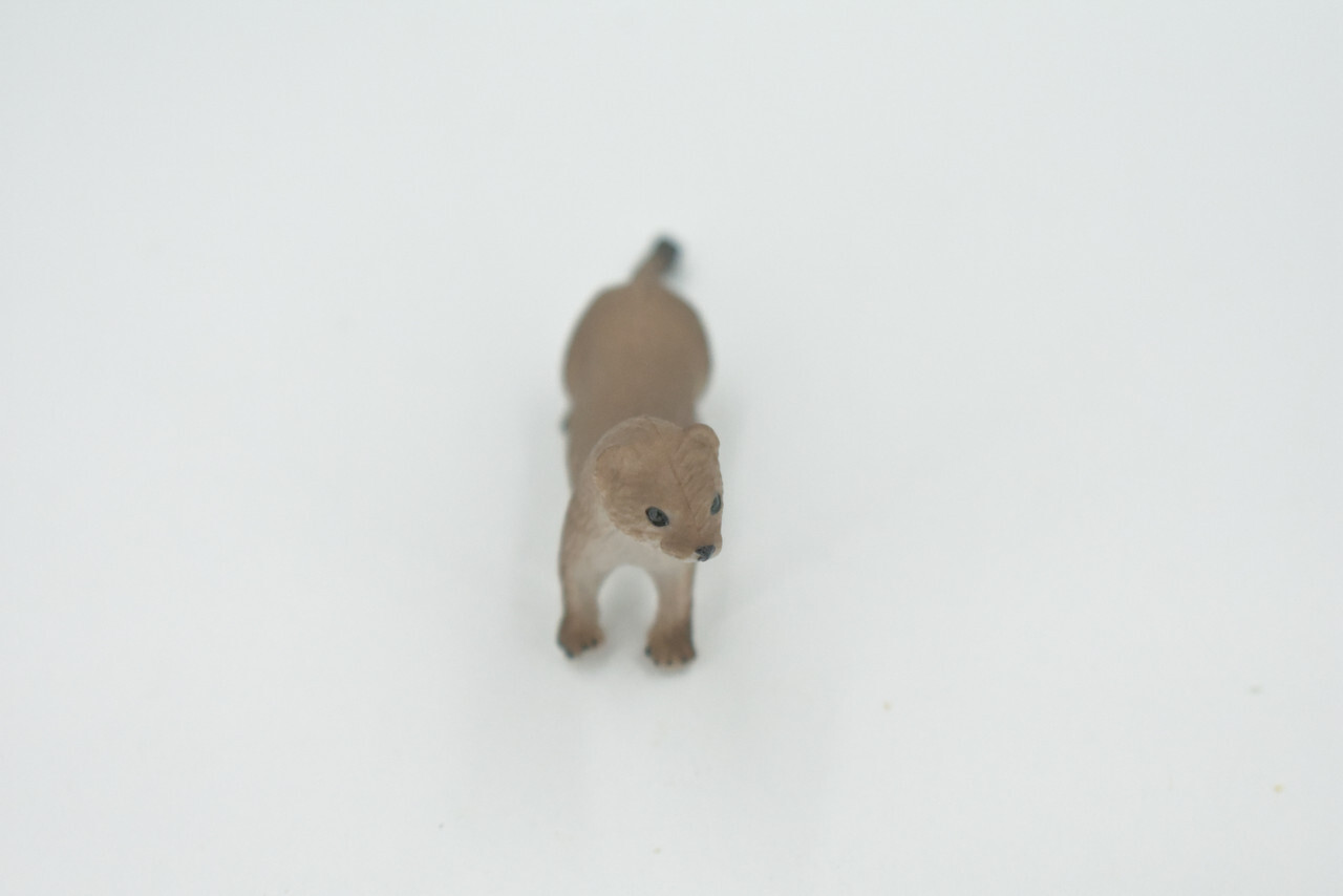 Fisher, Weasel Toy Animal, Realistic, Figure, Model, Toy, Gift, 3" CH534 BB159