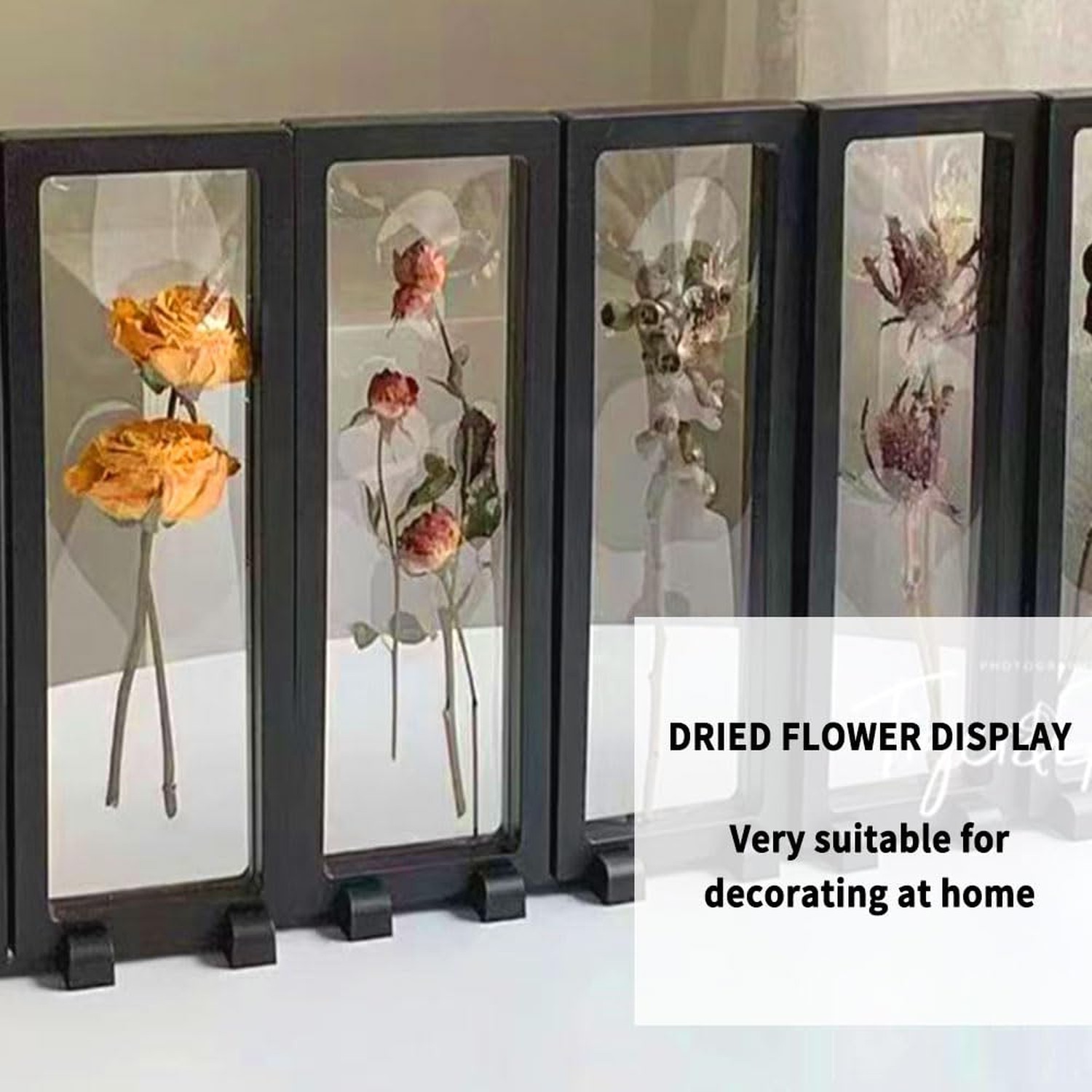 4 PCS 3D Floating Display Case, Seashell Holder Frame Coins Floating Display ...