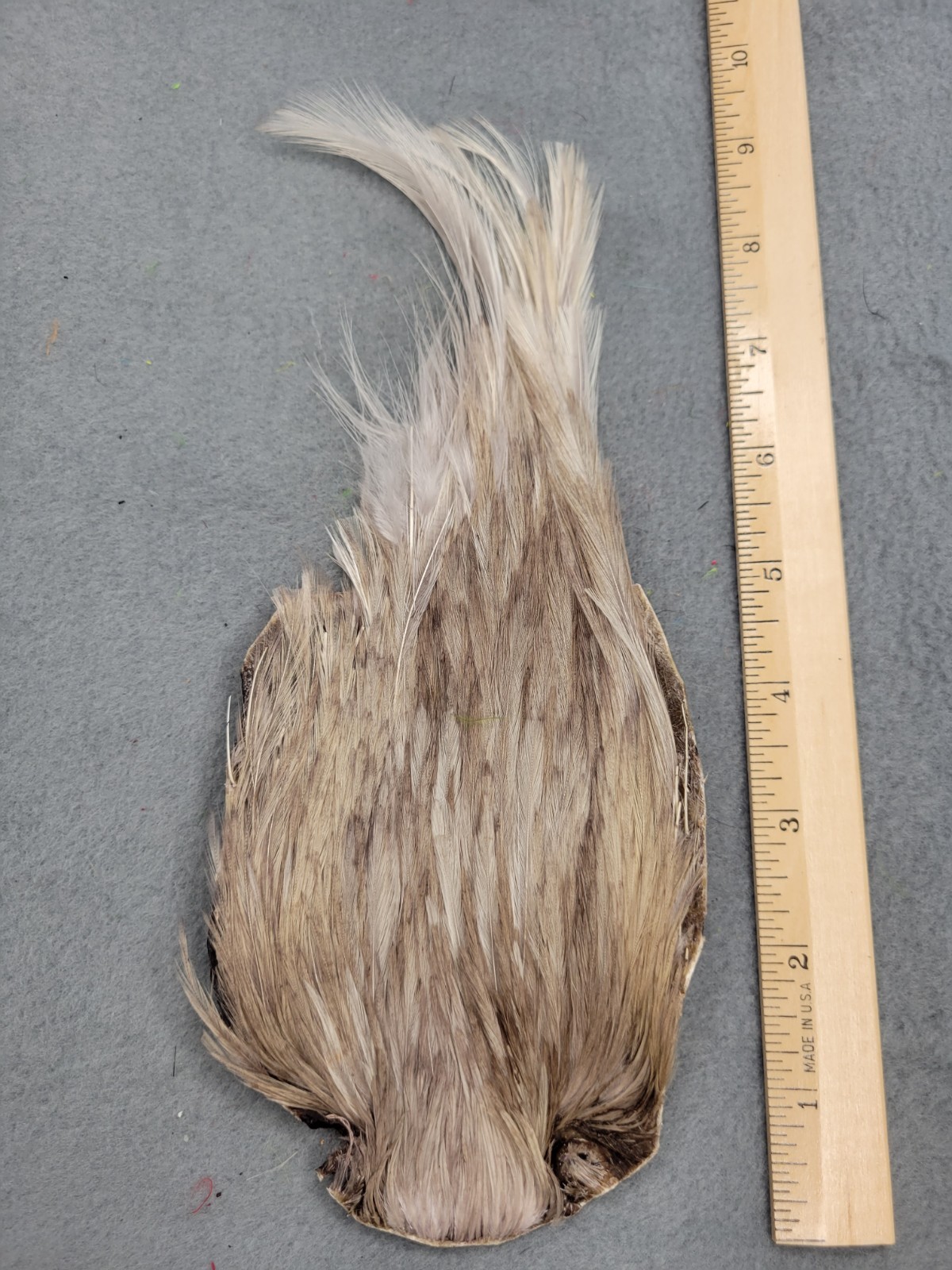 Lot 261, Grade B, DYED DUN  India Rooster Streamer Neck Cape Feathers
