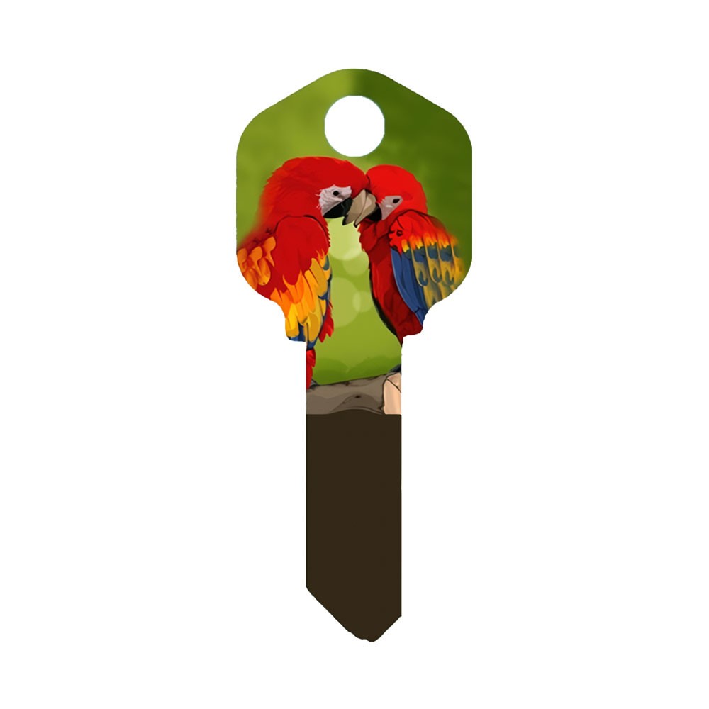 KW1 Parrots Key Blank