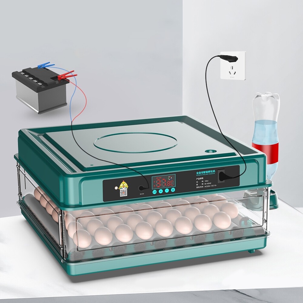 10 Eggs Fully Automatic Intelligent Double Electric Incubator Household Chicken