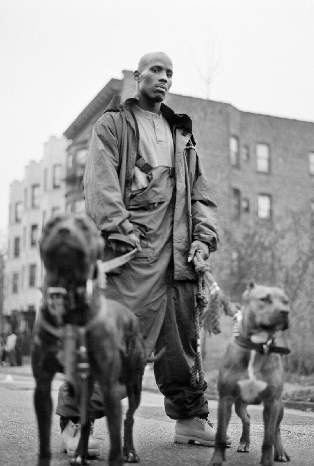 DMX Black and White Pitbull Poster 20x30 inches