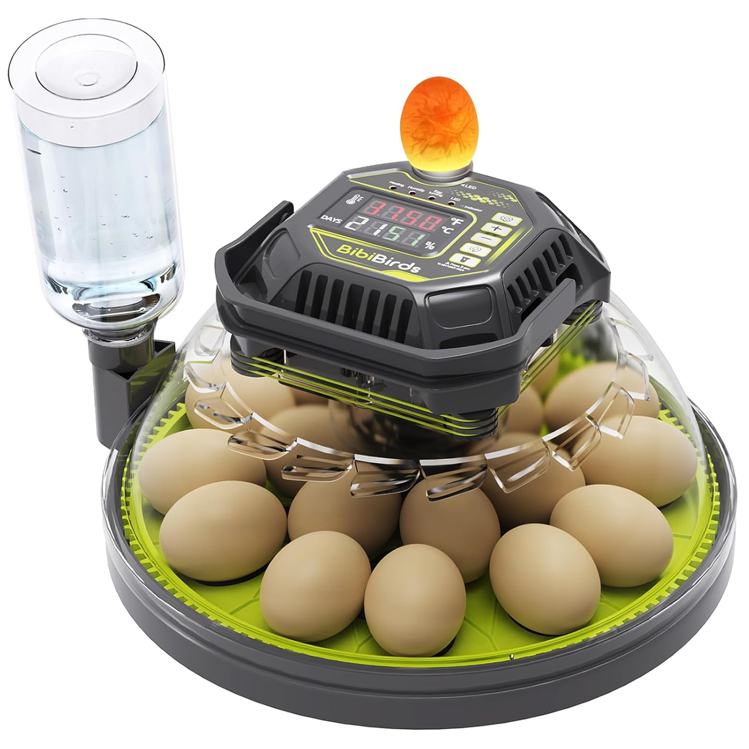 Automatic Egg Incubator for Quail, Chicken, Duck, Goose - 18 Eggs Capacity