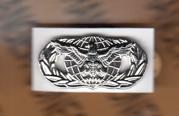 USAF Air Force Force Protection SP FP SF MEDIUM Stabrite Qual ~1.25" badge c/e