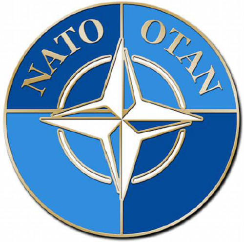 NATO OTAN NORTH ATLANTIC TREATY ORGANIZATION HAT LAPEL PIN