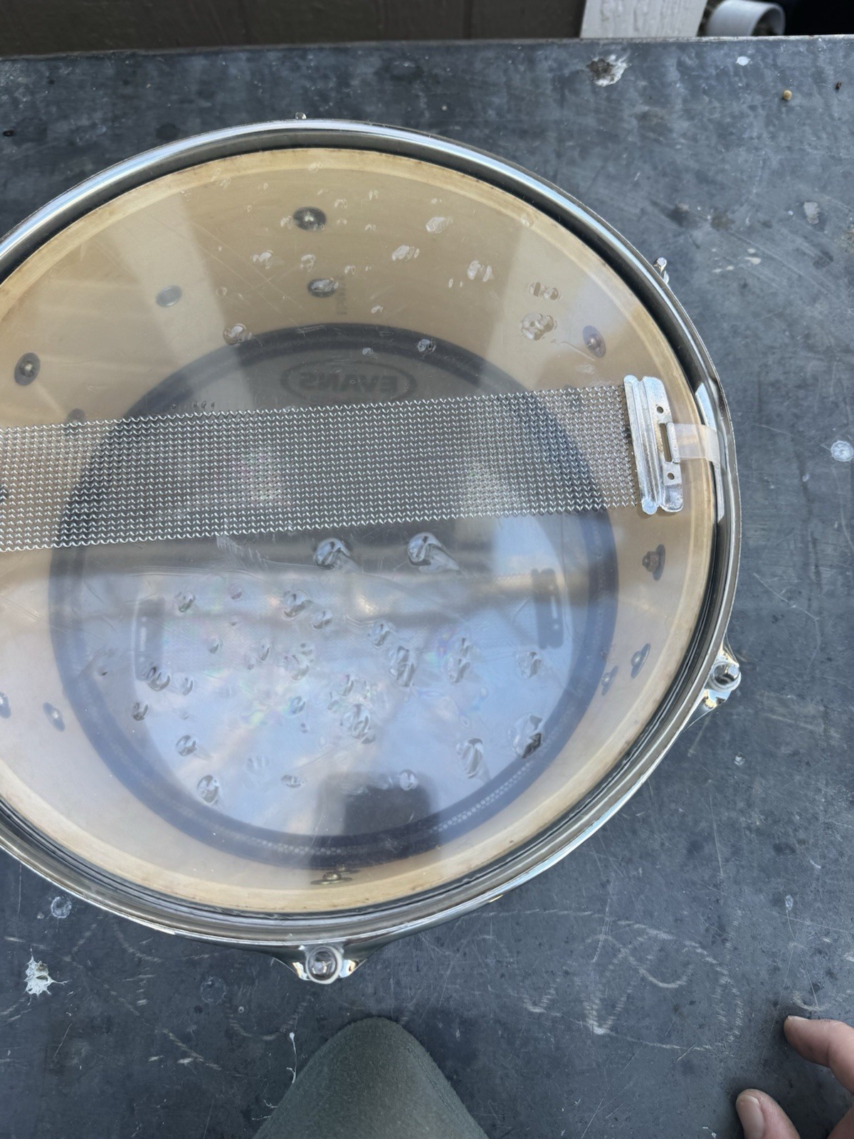 Evans Level 360 Drumhead As Is