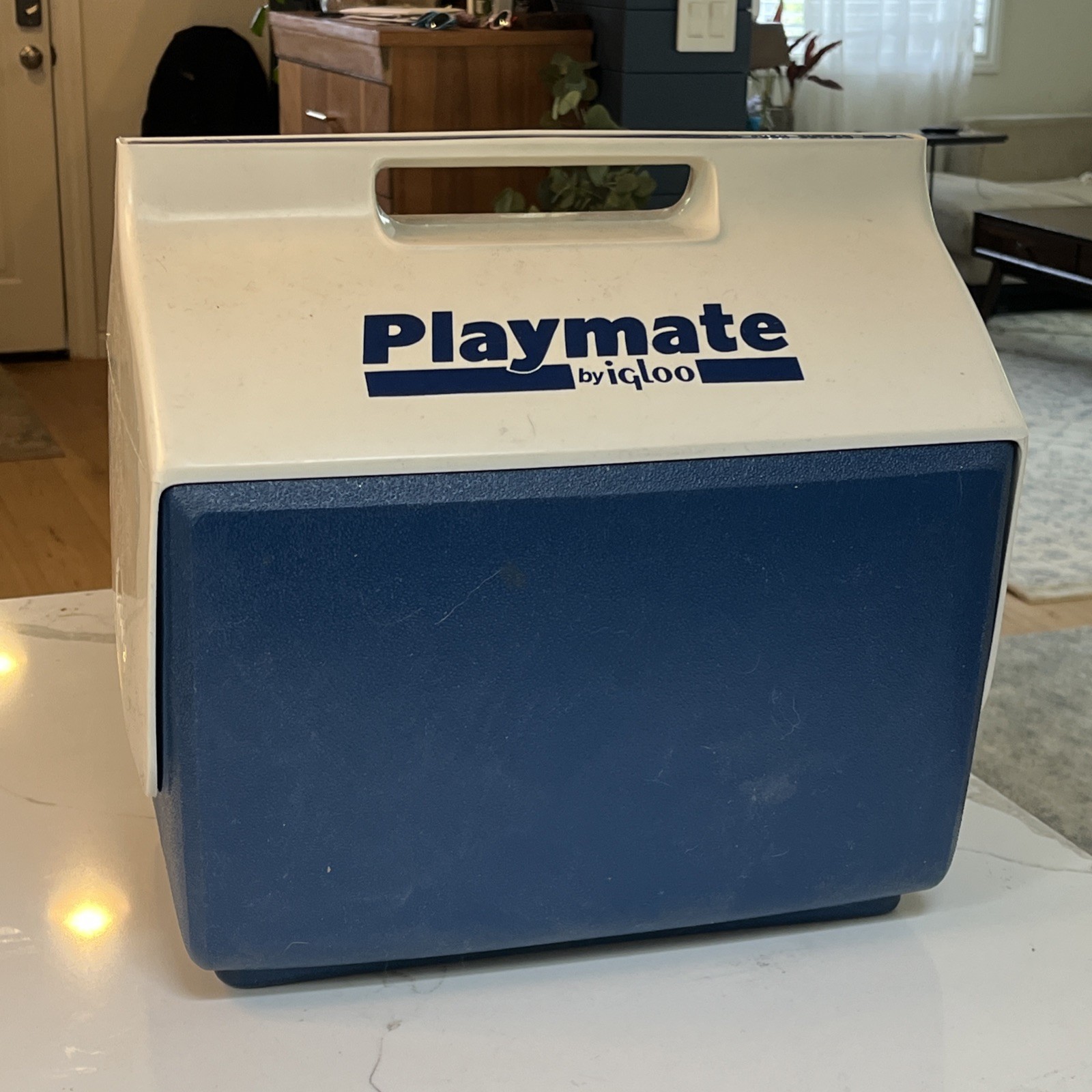 Vintage Blue & White Playmate Cooler By Igloo With Push Button Open