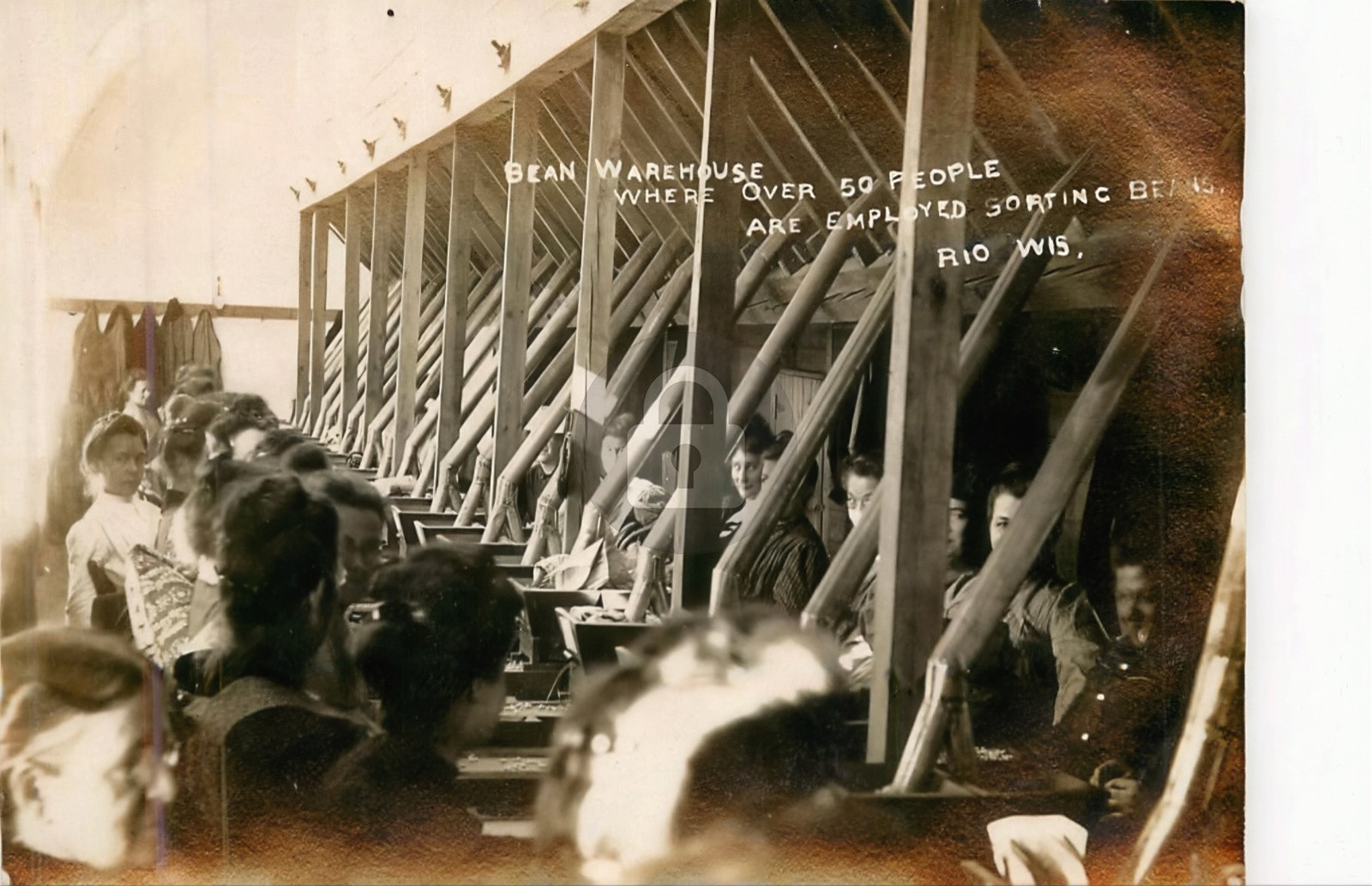 Wisconsin WI Rio Bean Warehouse over 50 Sorters RPPC Photo Postcard COPY
