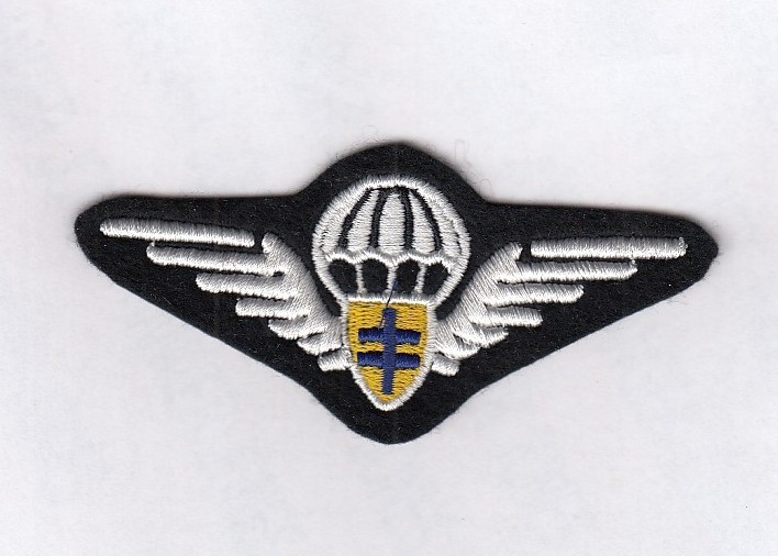 France Free French Forces Airborne parachute wing ~4" patch c/e