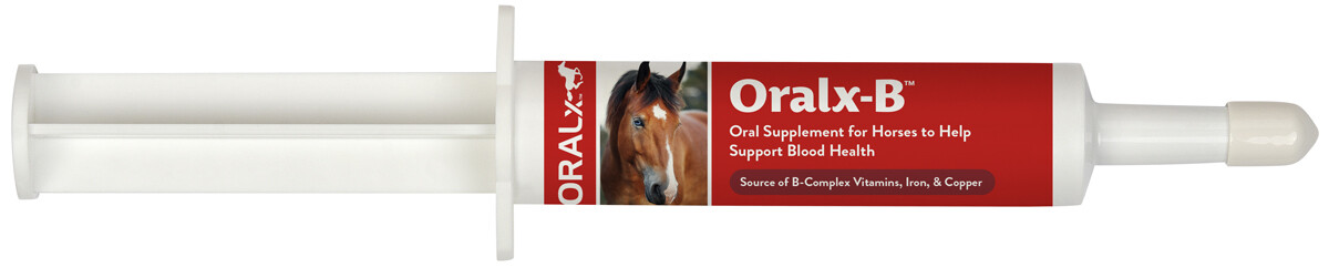 Oralx B 34gm Paste Red Blood Cells Iron Copper Deficiency Vitamins Minerals
