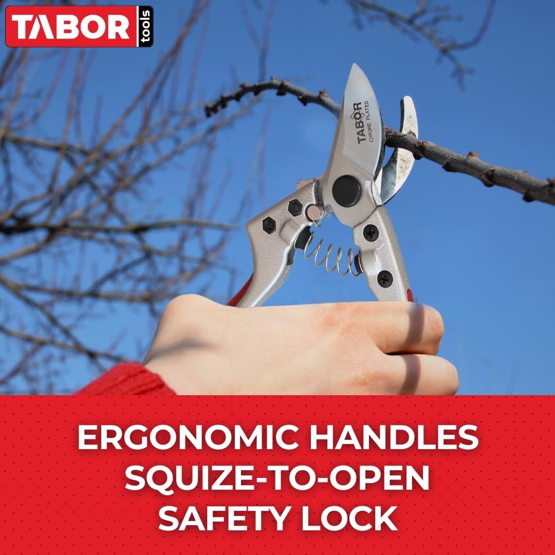 TABOR TOOLS S834A Bypass Pruning Shears, Makes Clean Cuts, Silver