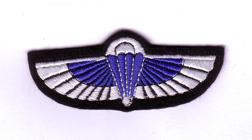United Kingdom UK Special Air Service SAS para wing Airborne ~3.25" patch c/e