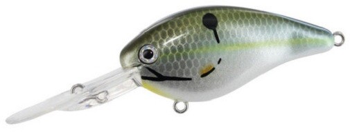 Strike King KVD 1.5F Flat Side Crankbait- Reel Shad