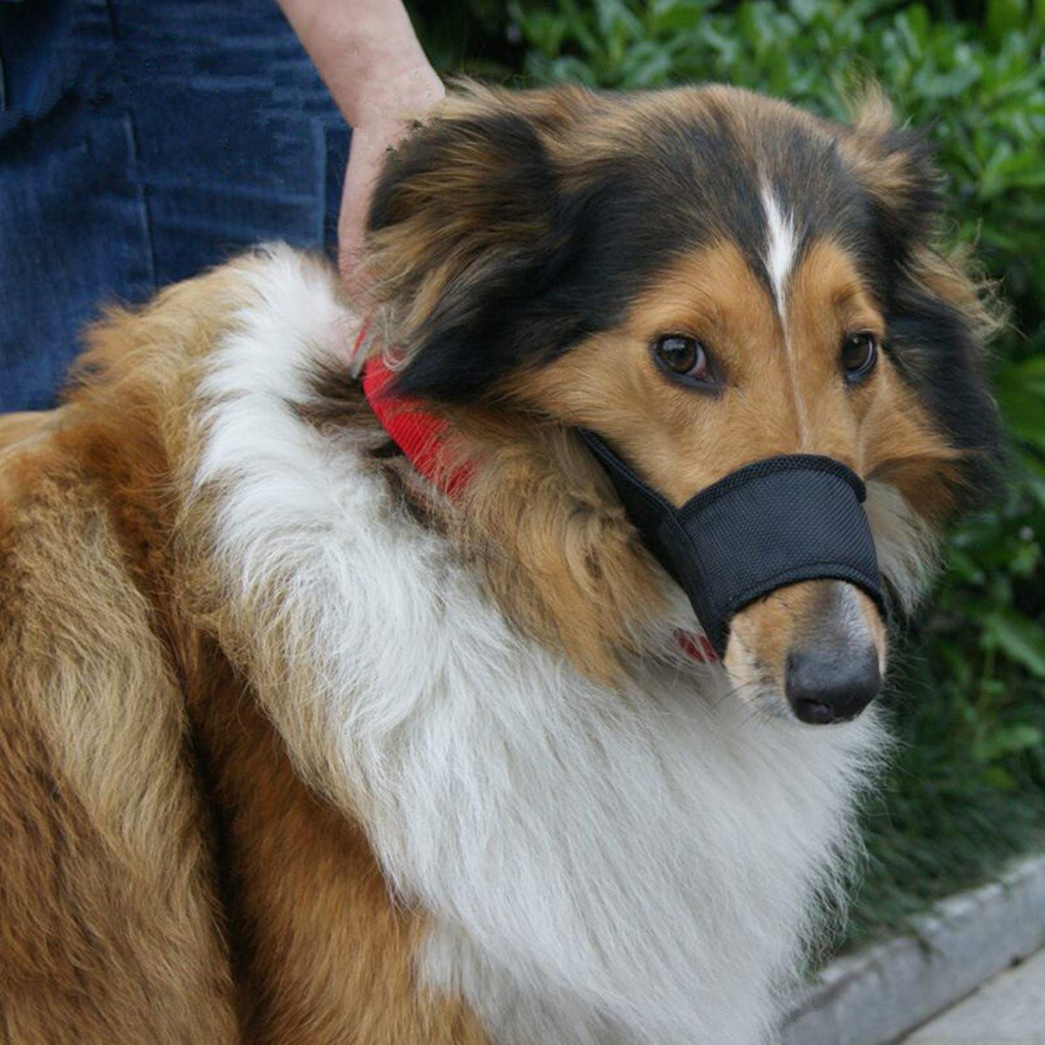 Blue Adjustable Quick Fit Dog Muzzle Prevent Biting Barking Chewing 7 PCS