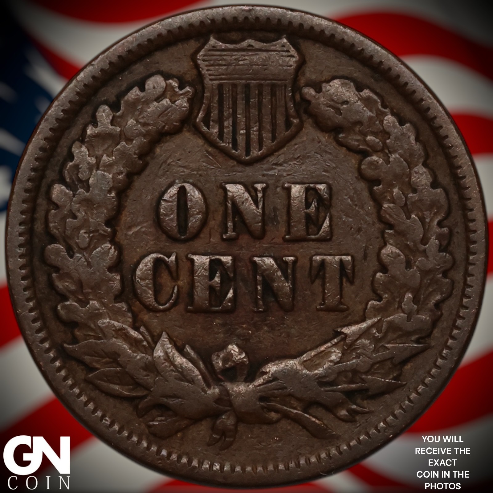 1894 Indian Head Cent Penny Z7956