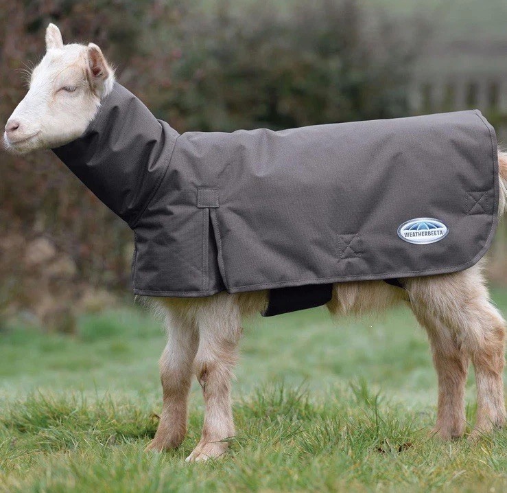 WeatherBeeta Goat Coat with Neck Grey