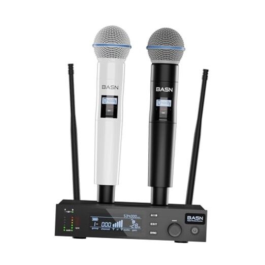 BASN UHF Dual Channel Wireless Microphone System, Handheld Mics for White-Black
