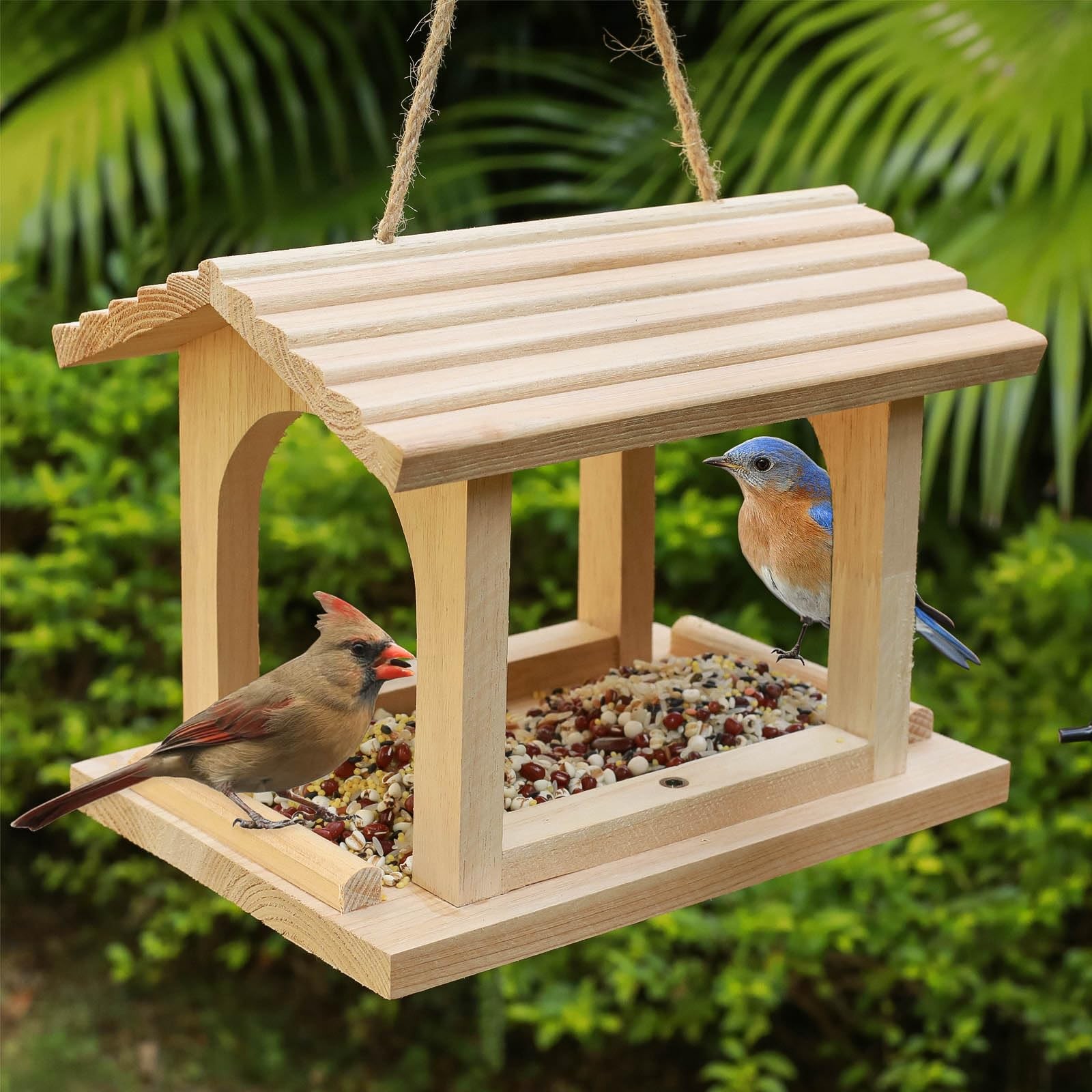 Wooden Bird Feeder Hanging Apples and Oranges Jelly Oriole Wood