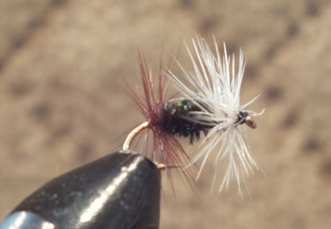 Renegade Trout Dry Fly  1 Dozen (12 Flies) F724