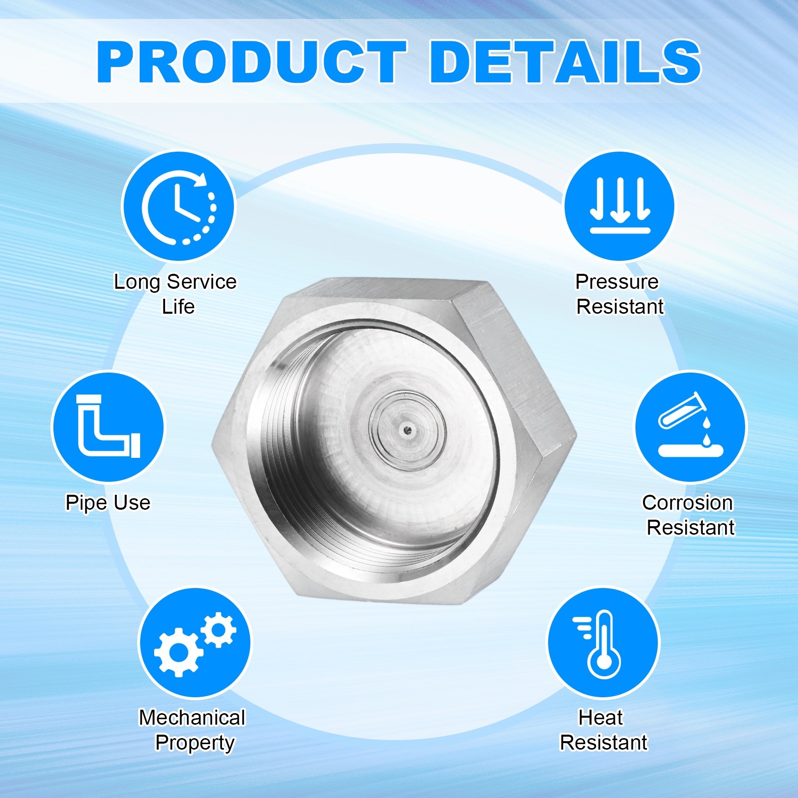 1-Pack Hex End Cap, 1-1/4 Inch g Female Thread Pipe Fitting