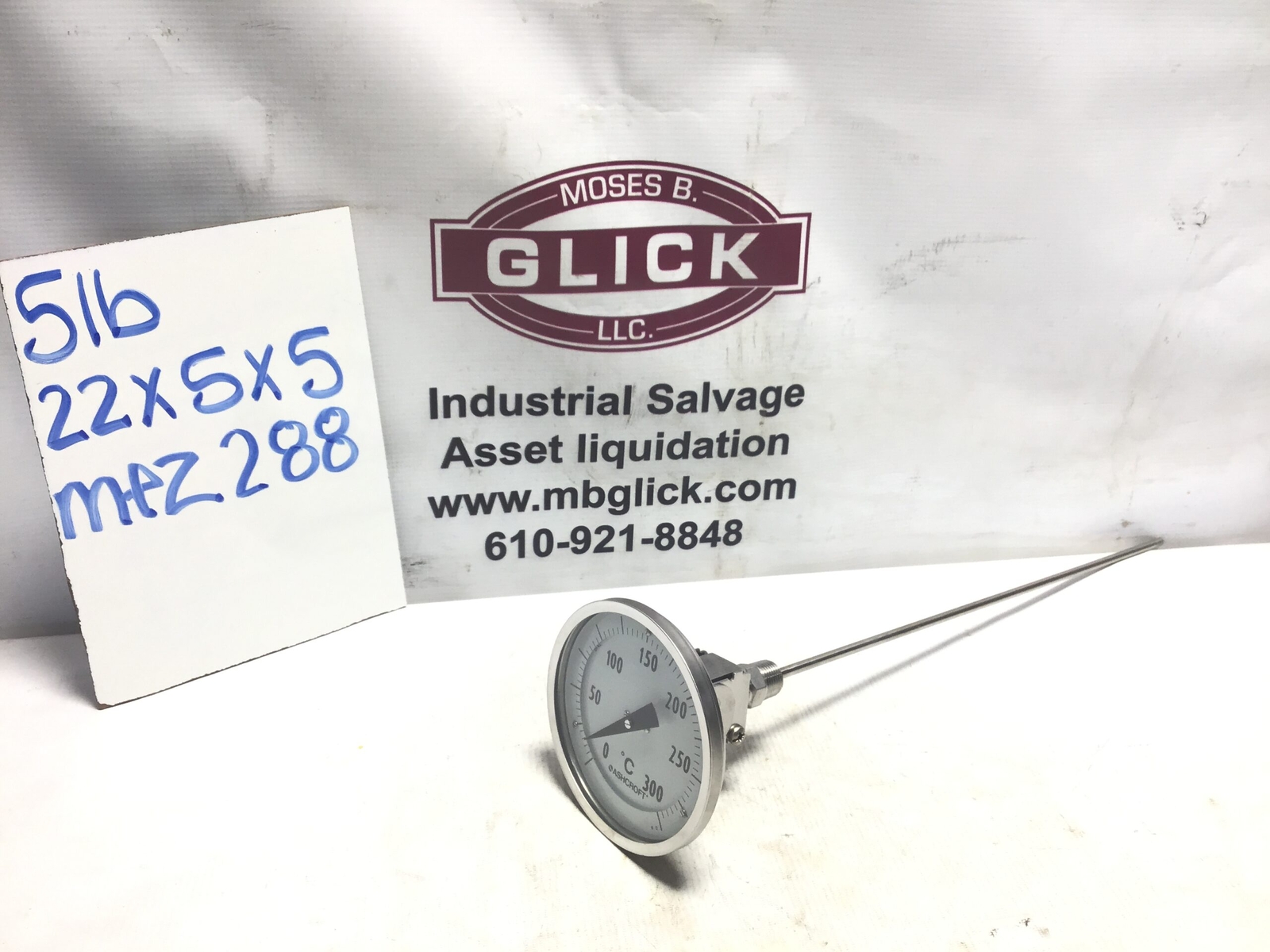 Ashcroft Stainless Steel 0-300 °C Thermometer