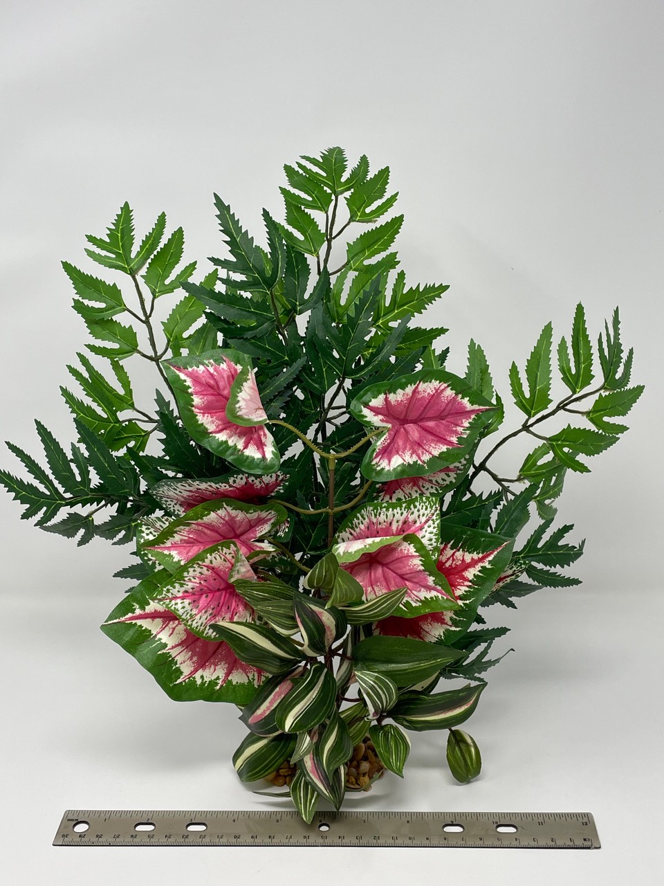 15" LARGE Aralia, Pink Caladium & Jew-Inch combo plant arrangement 810, stone ba